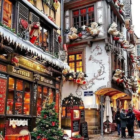 Cosy Au Centre-ville * Strasburg