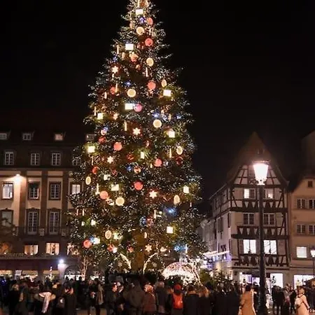 شقة Cosy Au Centre-ville *