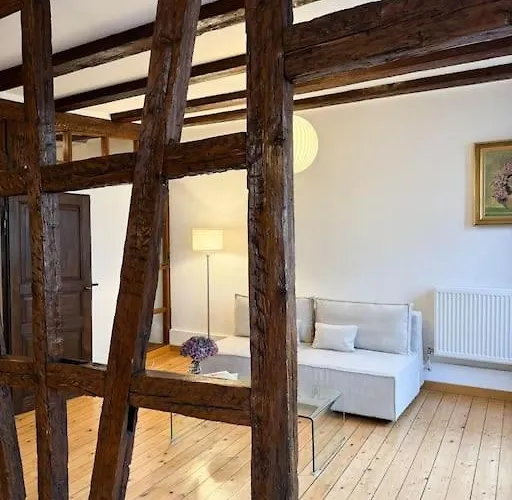 Appartement Cosy Au Centre-ville Straatsburg