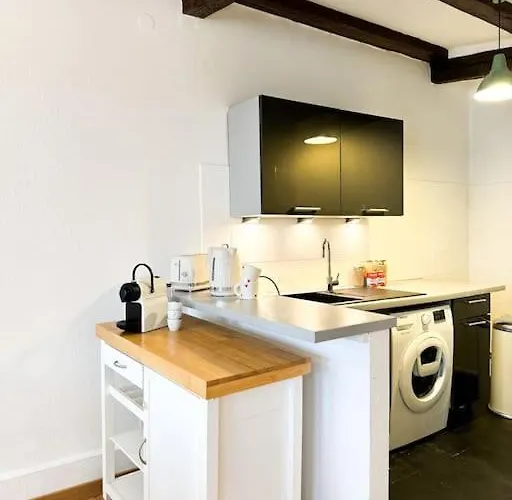 Cosy Au Centre-ville