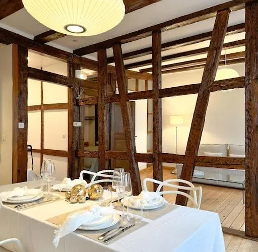 Appartement Cosy Au Centre-ville Straatsburg