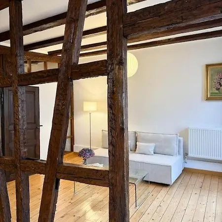 Апартаменты Cosy Au Centre-ville Страсбург